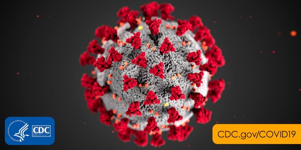 Coronavirus Picture Coronavirus Picture