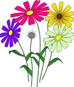 flowers flowers