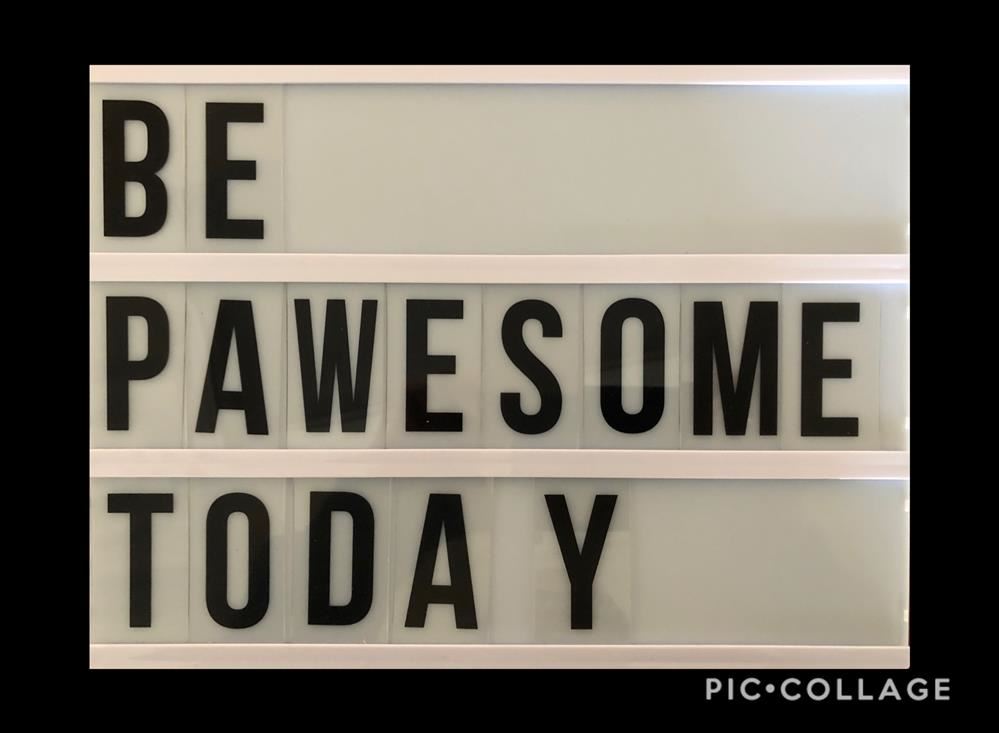Be Pawsome Today