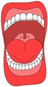 Mouth/teeth Mouth/teeth