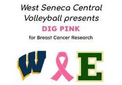  dig pink fri 10/13 at 5pm - niagara frontier sports complex