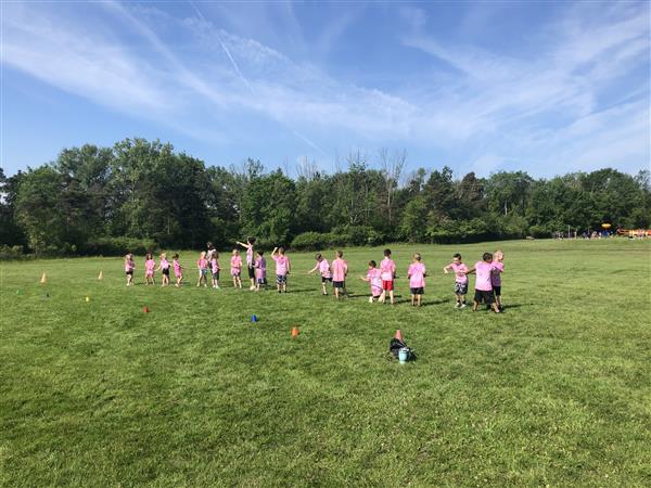 Field day 2019
